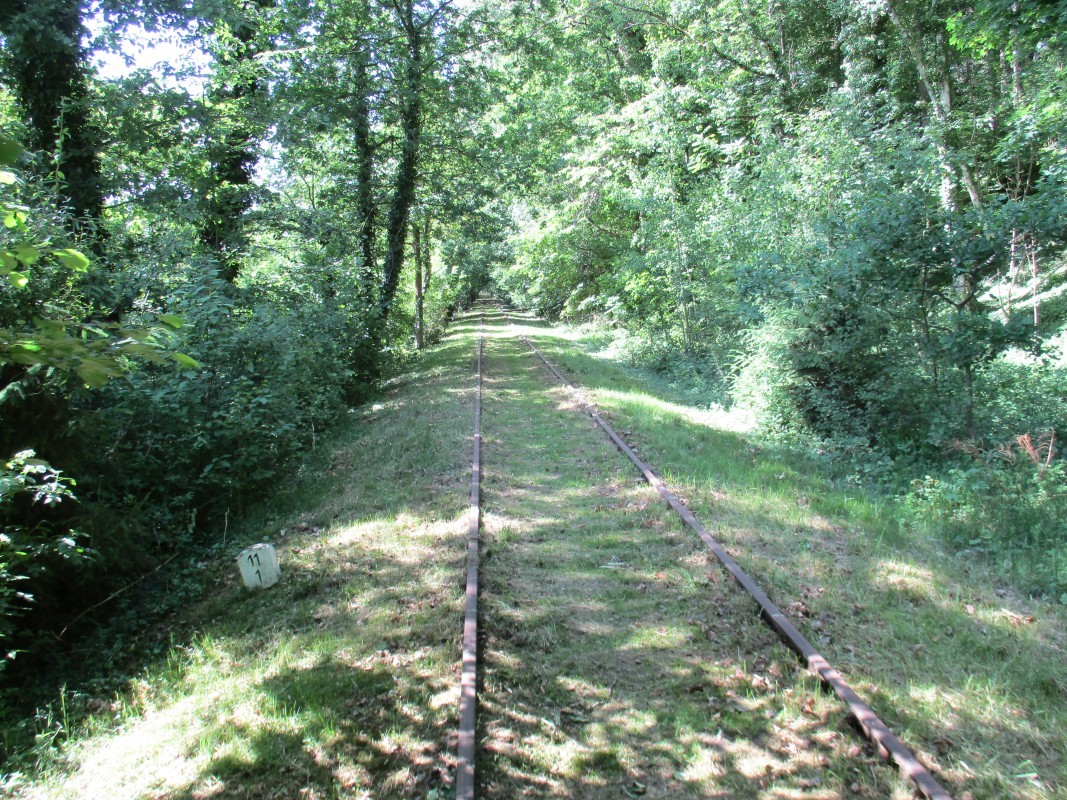 ZWNEGI10